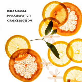 Citrus Grove Power Mist Hydrating Hand Sanitizer - The Red Thread Boutique