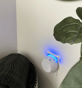 PURA Sweet Grace Kit - The Red Thread Boutique