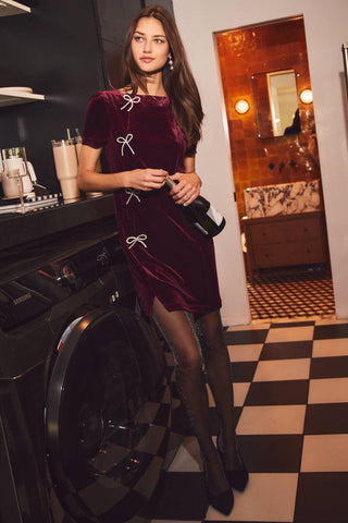 Short Sleeve Velvet Mini Dress, Wine *final sale - The Red Thread Boutique