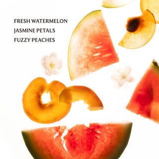 Wild Watermelon Power Mist Hydrating Hand Sanitizer - The Red Thread Boutique